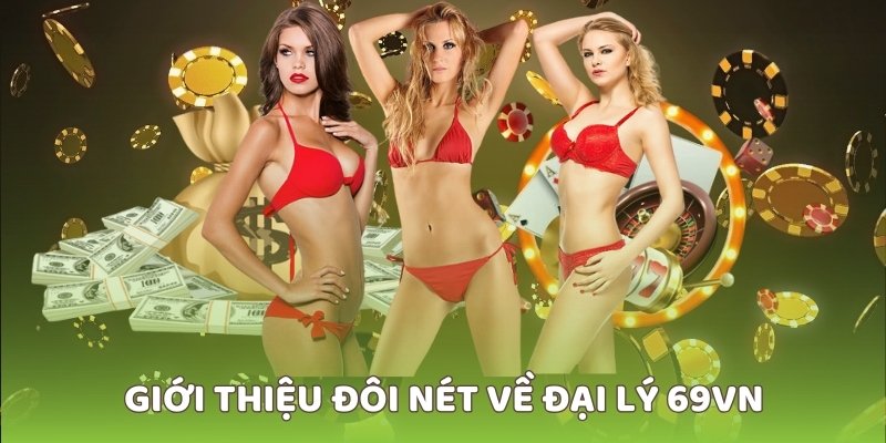 Đôi nét về đại lý 69VN