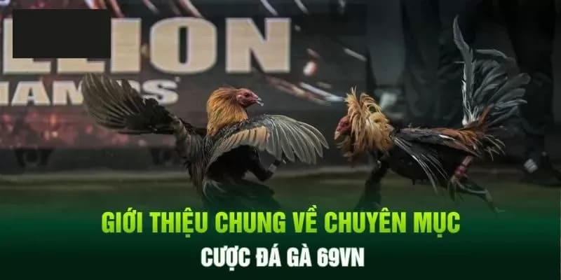 Giới thiệu thông tin về các sảnh đấu kê 69VN 