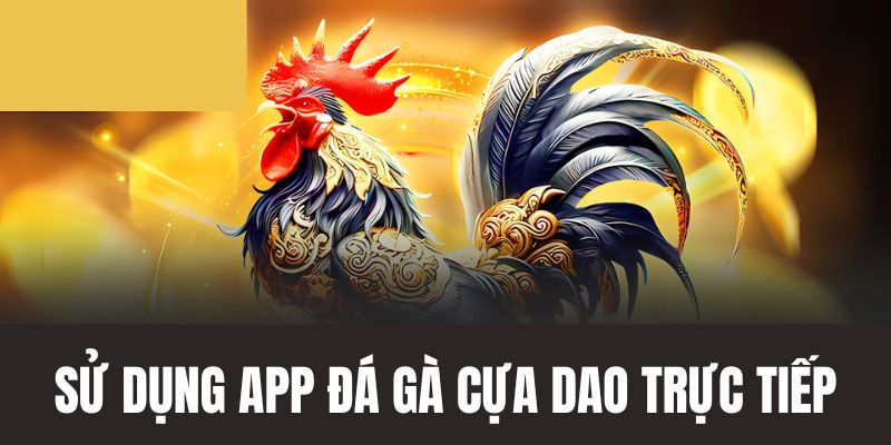 Sử dụng app đá gà 69vn xem live thỏa thích